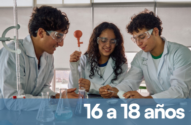 seccion-de-bachillerato-ap-program-de-liceo-campo-verde-quito-miembros-del-college-board seccion de bachillerato ap program de liceo campo verde quito miembros del college board